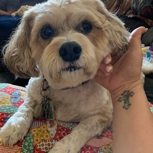 Meet your Posher, Angie